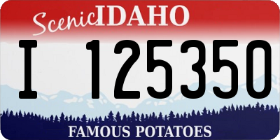 ID license plate I125350