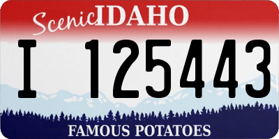 ID license plate I125443