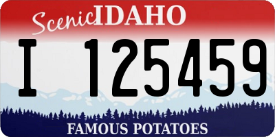 ID license plate I125459
