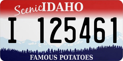 ID license plate I125461