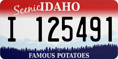 ID license plate I125491
