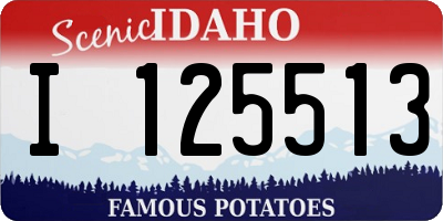 ID license plate I125513