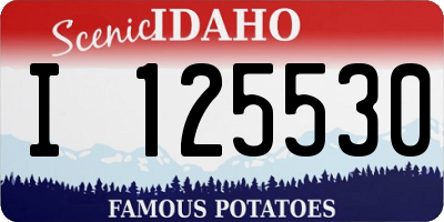 ID license plate I125530