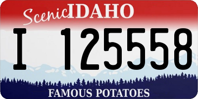 ID license plate I125558