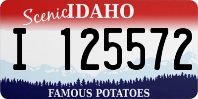 ID license plate I125572