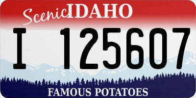ID license plate I125607