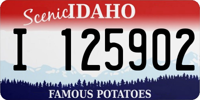ID license plate I125902