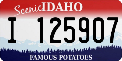 ID license plate I125907