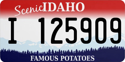 ID license plate I125909