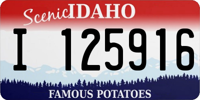 ID license plate I125916