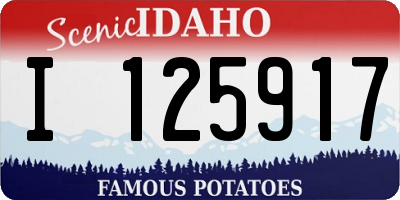 ID license plate I125917