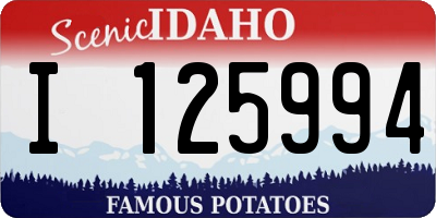 ID license plate I125994