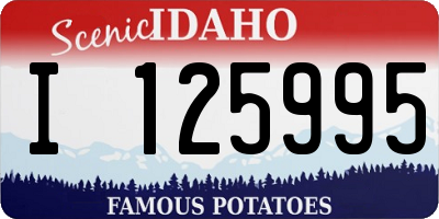 ID license plate I125995