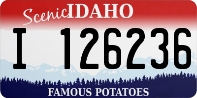 ID license plate I126236