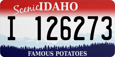 ID license plate I126273