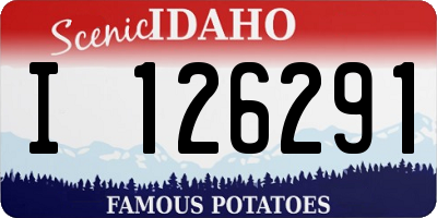 ID license plate I126291