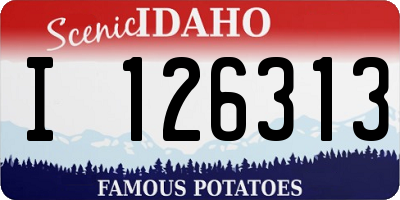 ID license plate I126313