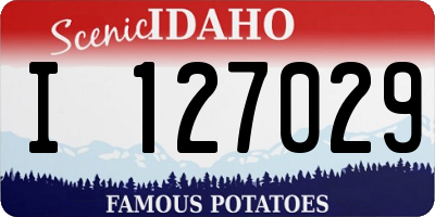 ID license plate I127029
