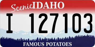 ID license plate I127103