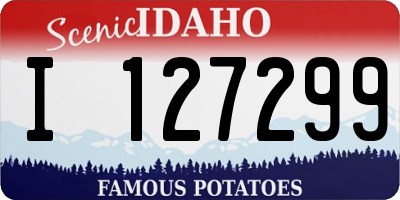 ID license plate I127299