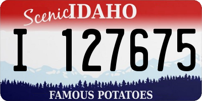 ID license plate I127675