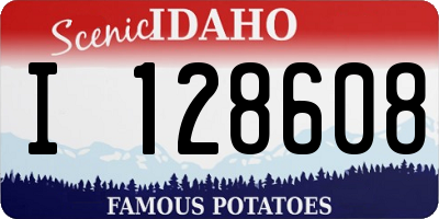 ID license plate I128608