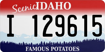 ID license plate I129615
