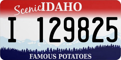 ID license plate I129825