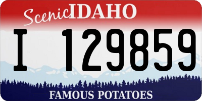 ID license plate I129859