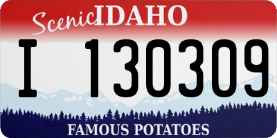 ID license plate I130309