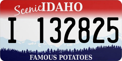 ID license plate I132825