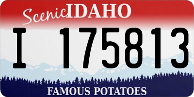 ID license plate I175813