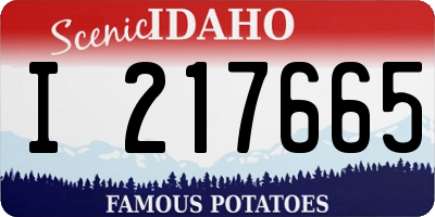 ID license plate I217665