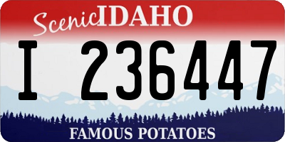 ID license plate I236447