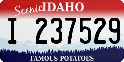 ID license plate I237529