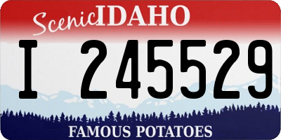 ID license plate I245529