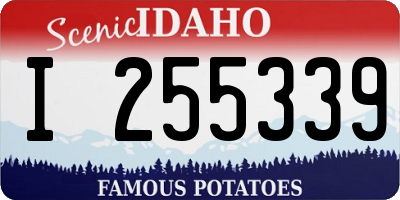 ID license plate I255339