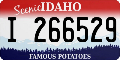 ID license plate I266529