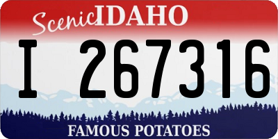 ID license plate I267316