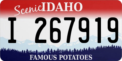 ID license plate I267919