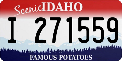 ID license plate I271559
