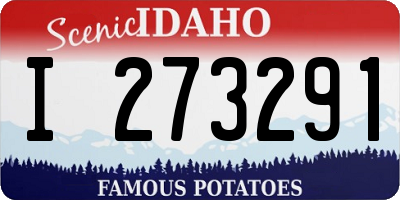 ID license plate I273291