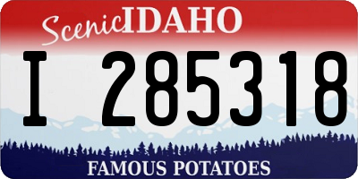 ID license plate I285318