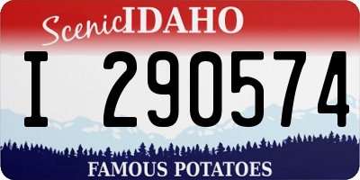 ID license plate I290574