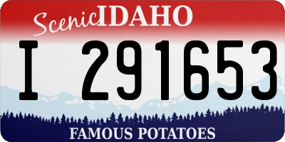 ID license plate I291653
