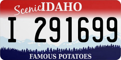 ID license plate I291699