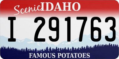 ID license plate I291763