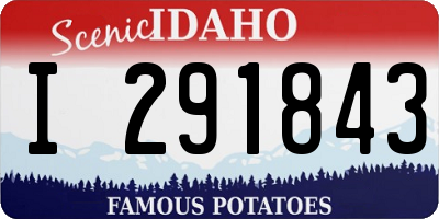ID license plate I291843