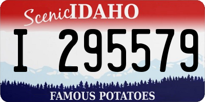 ID license plate I295579