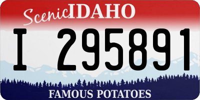 ID license plate I295891